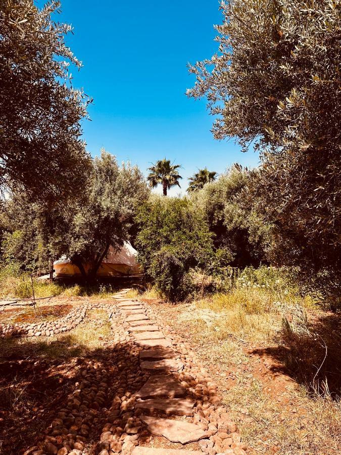 Villa Blanche Marrakech *